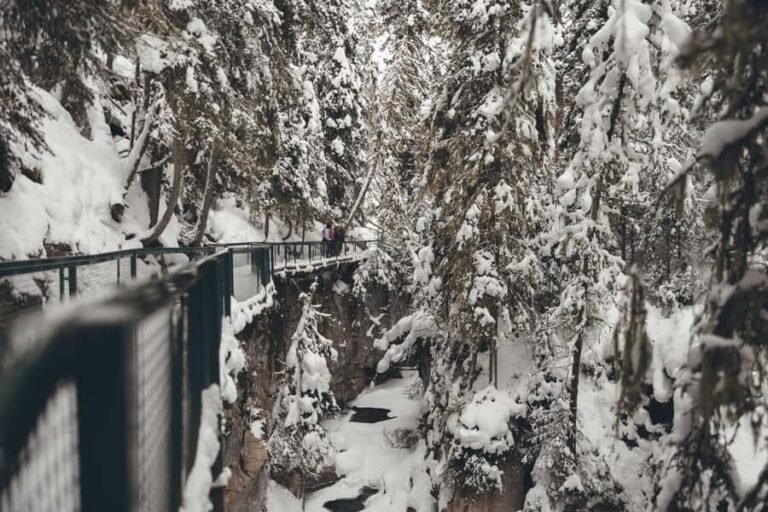 Banff/Canmore: Johnston Canyon Frozen Falls - A Deep Dive Into the Johnston Canyon Frozen Falls Tour