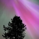Banff/Canmore Night Sky: Stargazing and Chasing Northern Lights - The Sum Up: Who Should Book This Experience?
