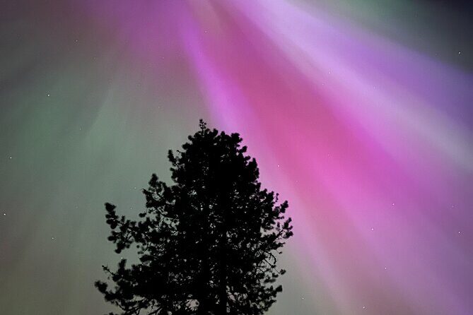Banff/Canmore Night Sky: Stargazing and Chasing Northern Lights - The Sum Up: Who Should Book This Experience?
