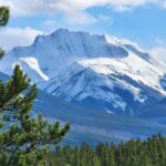 Banff Canmore: Wildlife Focused Guided Snowshoeing Adventure - The Itinerary: What to Expect