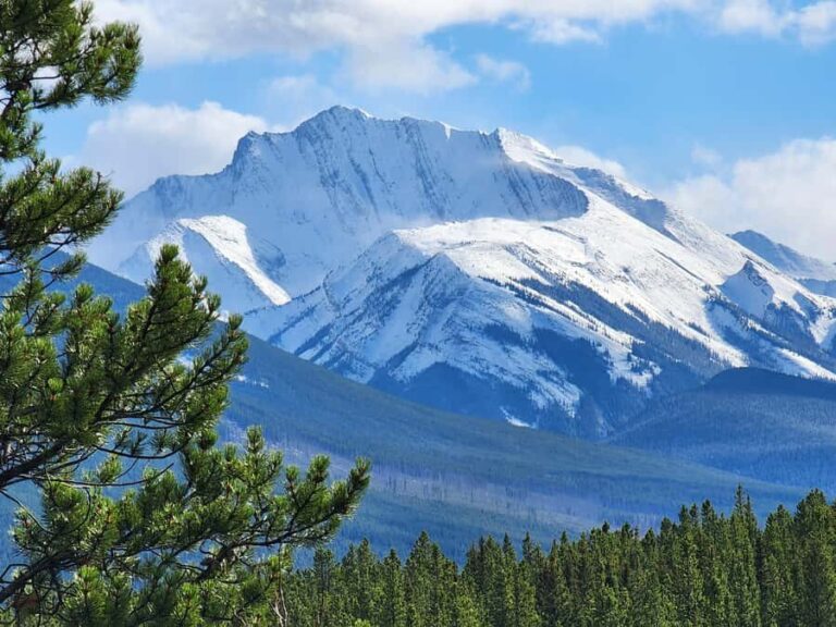 Banff Canmore: Wildlife Focused Guided Snowshoeing Adventure - The Itinerary: What to Expect