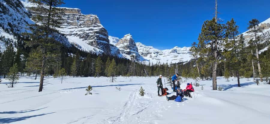 Banff: Chickadee Valley Snowshoe & Marble Canyon Walk - A Deep Dive into the Experience