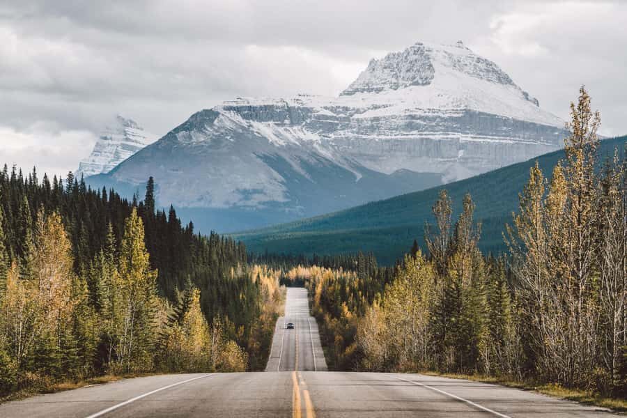 Banff: Full Day Guided Sightseeing, Lakes and Nature Tour - Why This Tour Offers Great Value