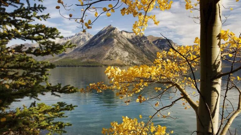 Banff Gondola Johnston Canyon Lake Minnewanka Banff day tour - An In-Depth Look at the Banff Day Tour
