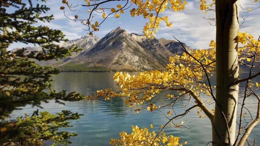 Banff Gondola Johnston Canyon Lake Minnewanka Banff day tour - An In-Depth Look at the Banff Day Tour