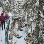 Banff: Johnston Canyon, Marble Canyon, & Lake Louise Tour - What You Can Expect on This 7-Hour Rockies Adventure