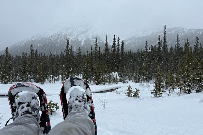 BANFF: Remote Guided Snowshoeing Adventure +Transportation - Who Should Consider This Tour?