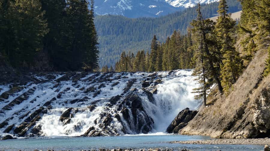 Banff: Winter Day Tour with Banff Gondola & Johnston Canyon - Authentic Traveler Insights