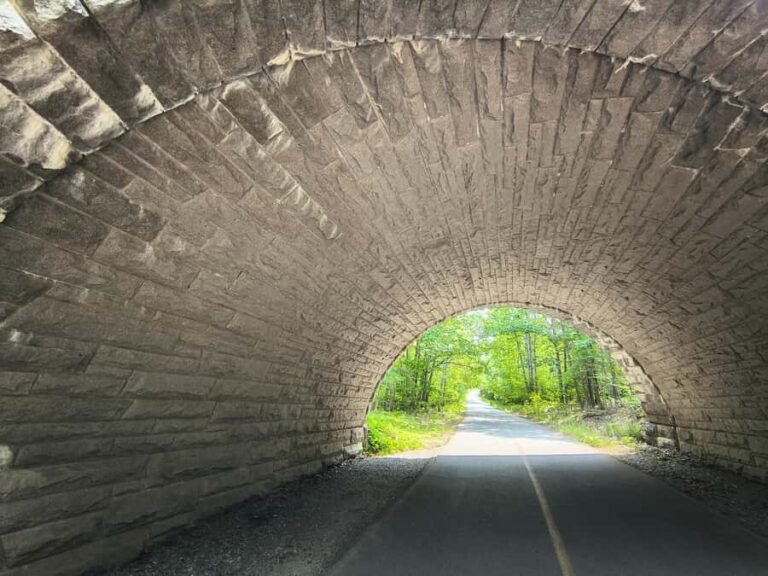Bar Harbor: Acadia National Park and Lighthouse Private Tour - A Deep Dive into the Acadia Adventure