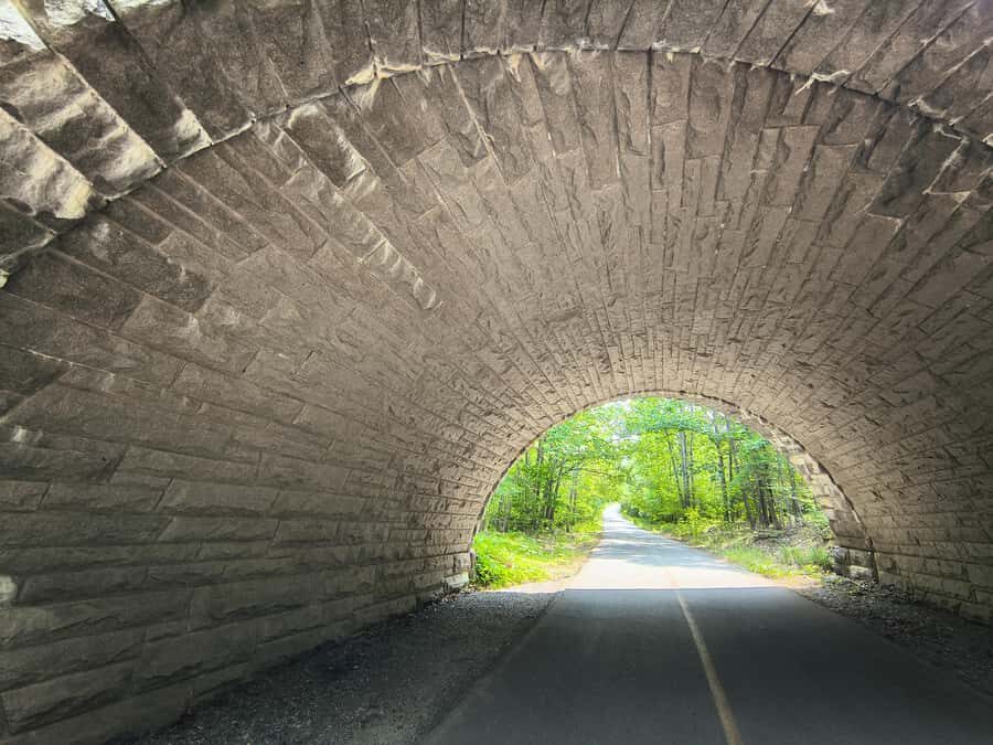 Bar Harbor: Acadia National Park and Lighthouse Private Tour - A Deep Dive into the Acadia Adventure
