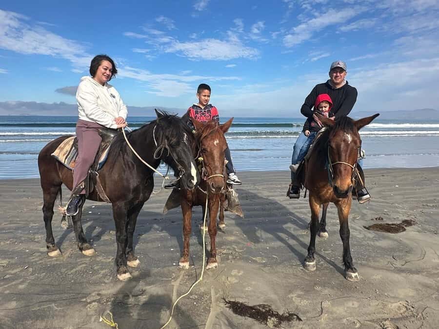 Beach Horseback Riding from the Port of Ensenada - The Experience: What Travelers Have Said