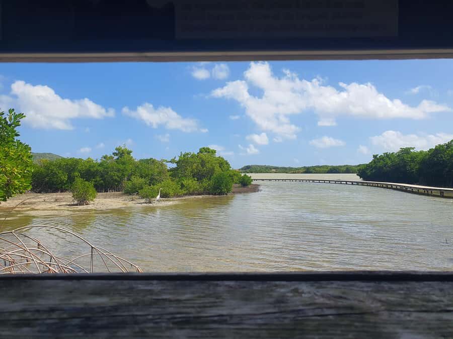 Beach tour and visit to a rum distillery in Le Marin with driver - Who Would Love This Tour?