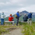 Bear Viewing Tour from Homer, Alaska - Who Should Consider This Tour?
