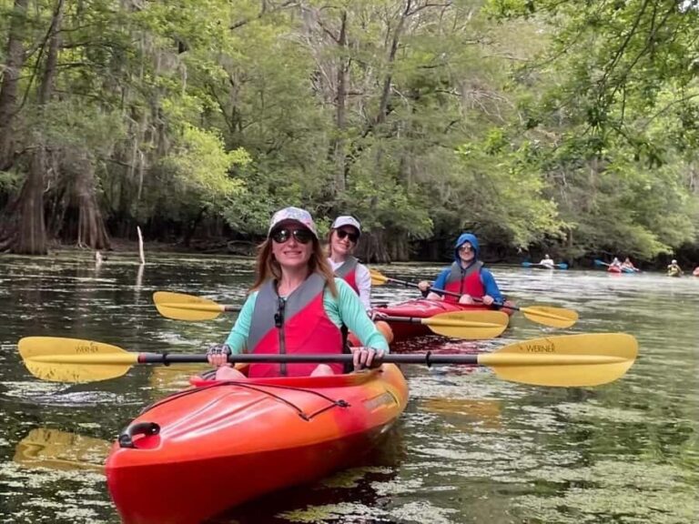 Beaufort: Guided Kayak Tour with Wildlife Viewing - Detailed Breakdown of the Various Tours