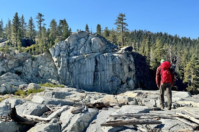 Beginner Rock Climbing Course in Bear Valley - Value and Practical Considerations