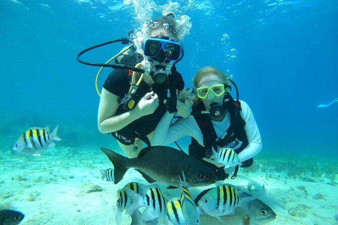 Beginner Scuba Diving Adventure at Chankanaab - Practical Tips for Your Dive Adventure