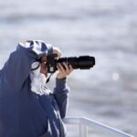 Berthier-sur-Mer: 1000 Razorbill Penguins Observation Cruise - The Itinerary & What You’ll Experience