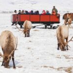 Best of Jackson Hole Wildlife Safari Tour - Why This Tour Offers Great Value