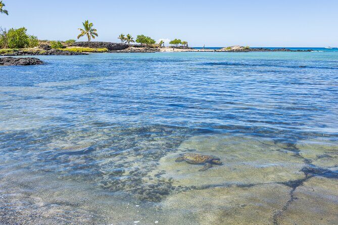 Best of Kona Private Tour Excursion - The Practicalities: What You Need to Know