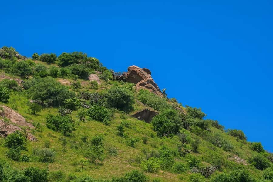 Between haciendas and temples: a tour of the mining heart of Pastita - The Guide and Tour Experience