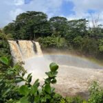 Big Island: Volcano, Waterfalls & Coffee Group Tour - What Makes This Tour Stand Out