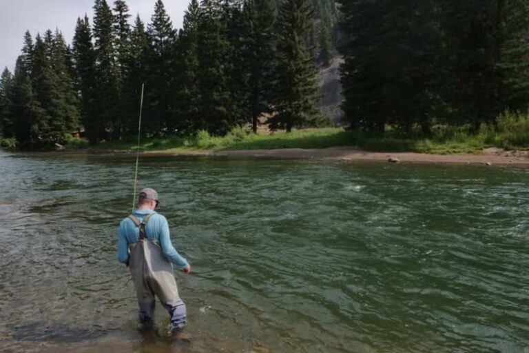 Big Sky: Learn to Fly Fish on the Gallatin River (3 hours) - Who Will Love This Experience?