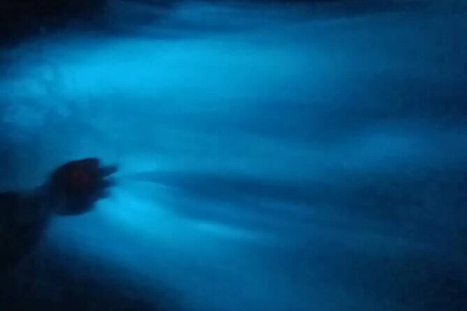 Bioluminiscense Lagoon Tour - Why You Should Consider This Tour