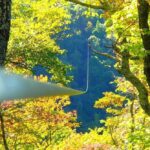 Blowing Rock: Zipline Adventure Tours with Waterfall Views - Special Experiences and Variations