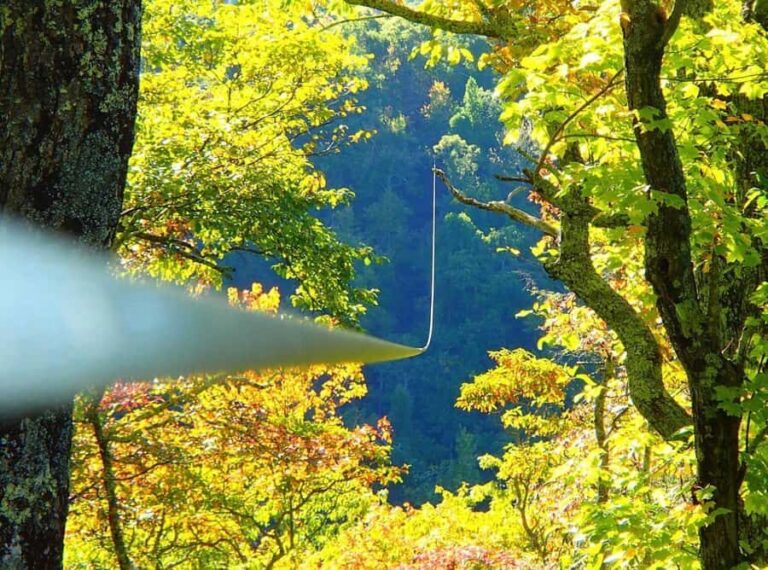 Blowing Rock: Zipline Adventure Tours with Waterfall Views - Special Experiences and Variations