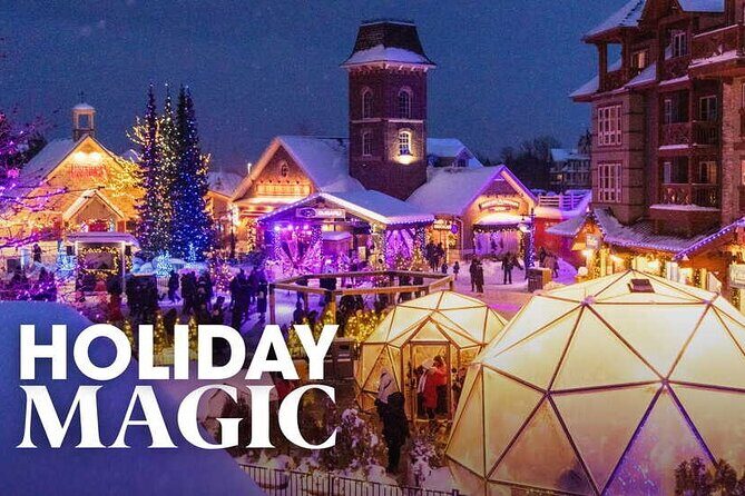 Blue Mountain Daily Winter Shuttle from Toronto (GTA) - Why Consider This Experience?