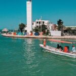 Boat tour in Río Lagartos Natural Reserve, with Food - In-Depth Review: Exploring Río Lagartos’s Natural Wonders