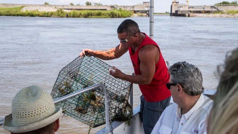 Boat Tour of Louisiana Bayous Near New Orleans - Why This Tour Offers Great Value