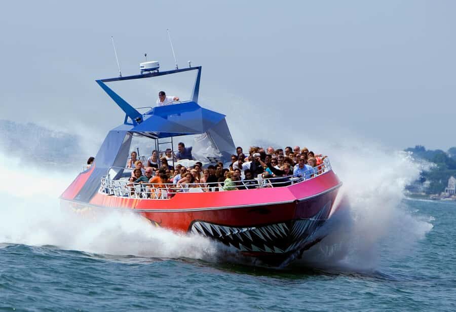 Boston: City Cruises Harbor Codzilla High Speed Thrill Boat - What Do Reviewers Say?