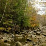 Boston Fall Day Trip to White Mountains, Lost River Gorge - Exploring the White Mountains: An In-Depth Review