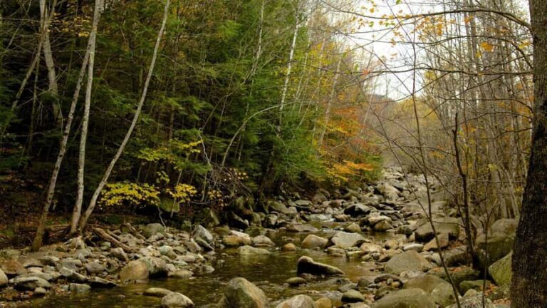 Boston Fall Day Trip to White Mountains, Lost River Gorge - Exploring the White Mountains: An In-Depth Review
