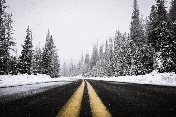 Brews n' Views - Private Tour - Exploring the Details: What To Expect on the Brews n Views Tour