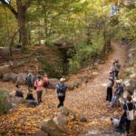 Brooklyn: 2-Hour Prospect Park Guided Walking Tour - The Itinerary: From History to Natural Wonders