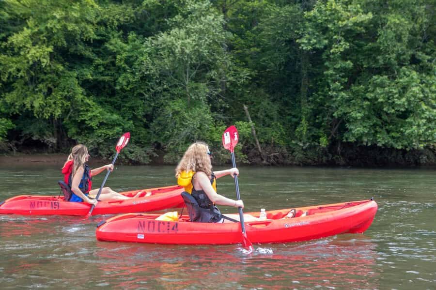 Bryson City: Fontana Lake Guided Kayak Tour - What to Expect During Your Kayak Adventure