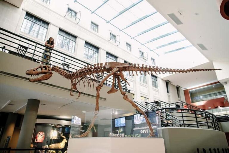 Buffalo: Admission Ticket to Buffalo Museum of Science - What to Expect on Your Visit