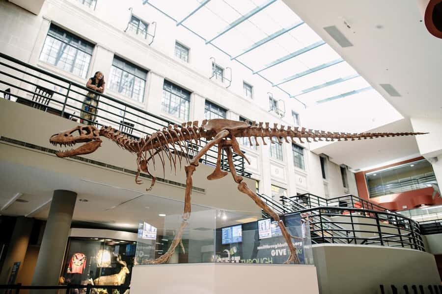 Buffalo: Admission Ticket to Buffalo Museum of Science - What to Expect on Your Visit