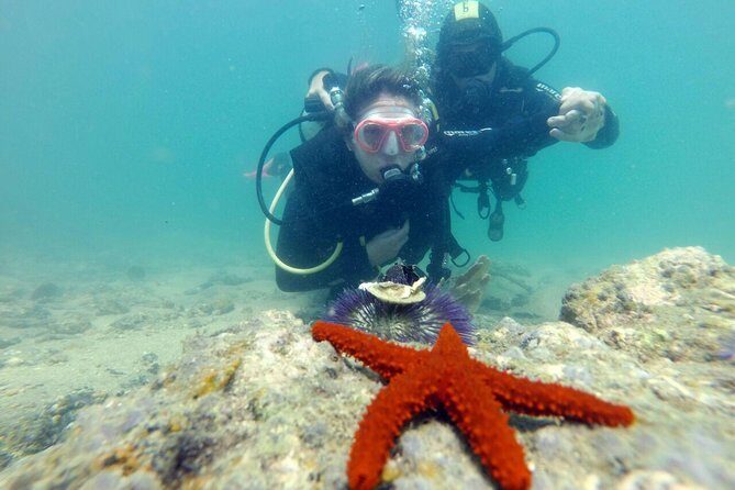 Búzios Iniciantes / Baptism João Fernandes Beach (Right Corner) - Why This Tour Is Worth Your Time