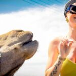 Cabo Beach Adventure Camel Ride and Sky Bike Experience - Why This Tour Offers Good Value