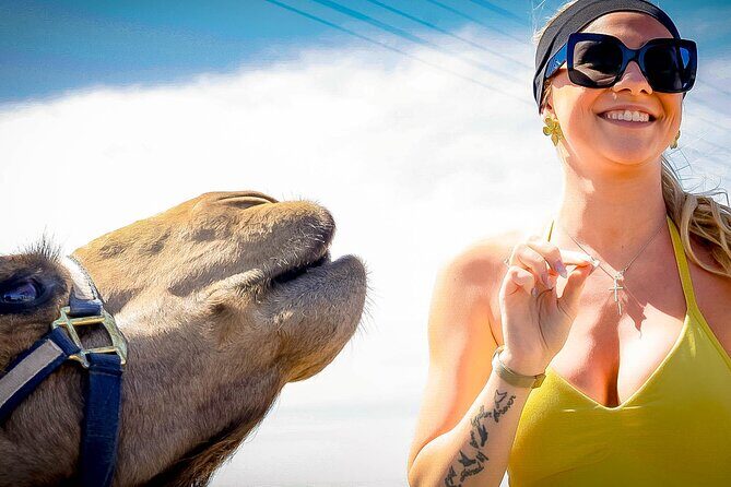 Cabo Beach Adventure Camel Ride and Sky Bike Experience - Why This Tour Offers Good Value