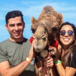 Cabo Camel Ride Experience - FAQs