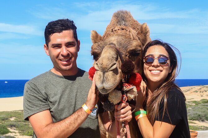 Cabo Camel Ride Experience - FAQs