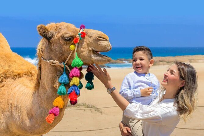 Cabo San Lucas 3-in-1 Combo: Sky Bike, Camels or Horses, and ATV - What Travelers Say