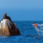 Cabo San Lucas Arc Transparent Boat Tour - FAQ