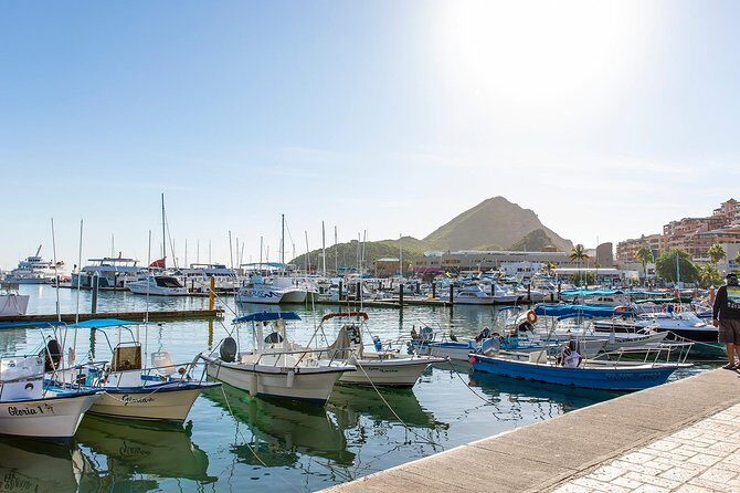 Cabo San Lucas City Tour - Final Thoughts on the Cabo San Lucas City Tour