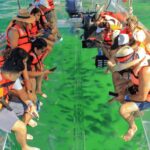 Cabo San Lucas: Completely Clear Boat Tour with Guide - Who Will Enjoy This Tour?