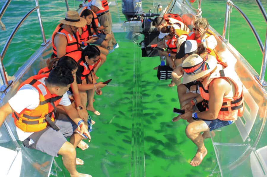 Cabo San Lucas: Completely Clear Boat Tour with Guide - Who Will Enjoy This Tour?
